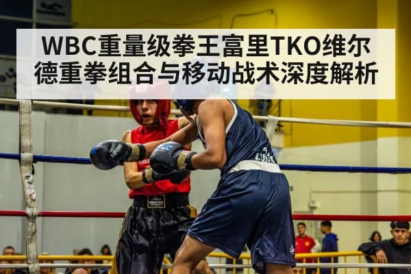 WBC重量级拳王富里TKO维尔德重拳组合与移动战术深度解析