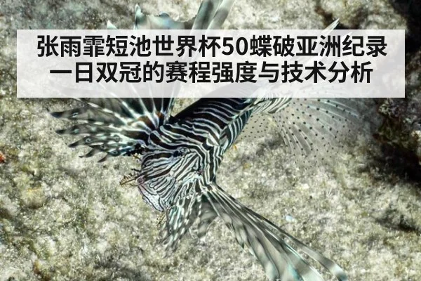 张雨霏短池世界杯50蝶破亚洲纪录一日双冠的赛程强度与技术分析